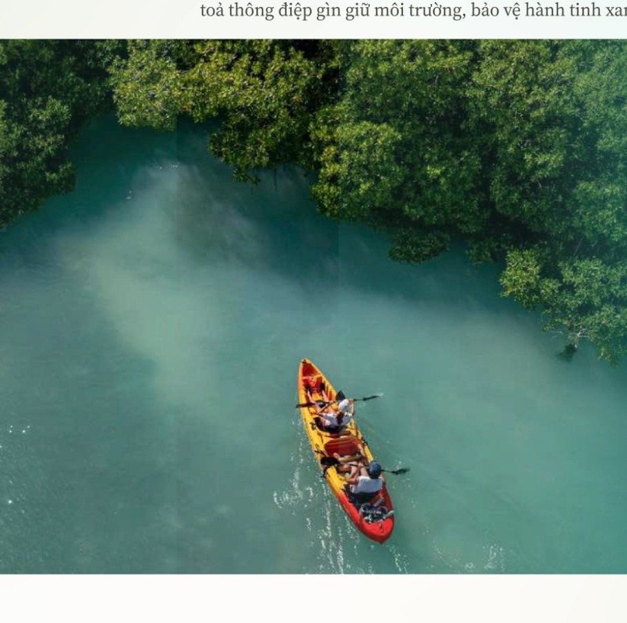 Chèo thuyền kayak trên dòng nước trong xanh giữa rừng ngập mặn Cần Giờ